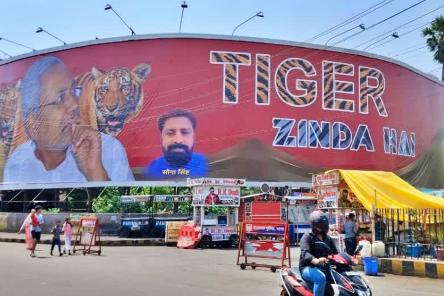 'टाइगर जिंदा है', नीतीश का पोस्टर, पटना, जदयू, राजद