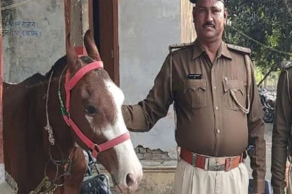 शराब तस्कर, हमला, पुलिस को पीटा, दो दारोगा, कई जवान, घायल, पालीगंज, रानी तालाब