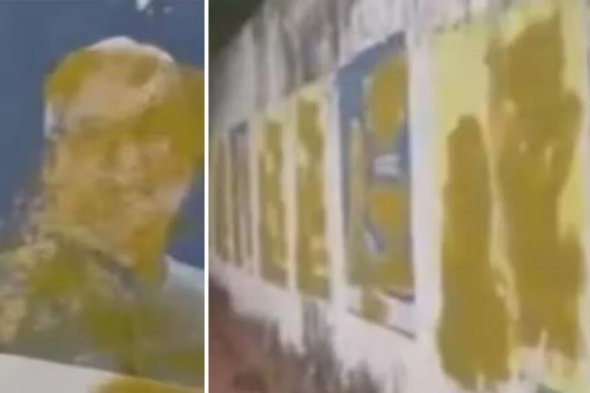 नीतीश कुमार, पोस्टर, पोत दिया रंग, पटना, जदयू भड़का