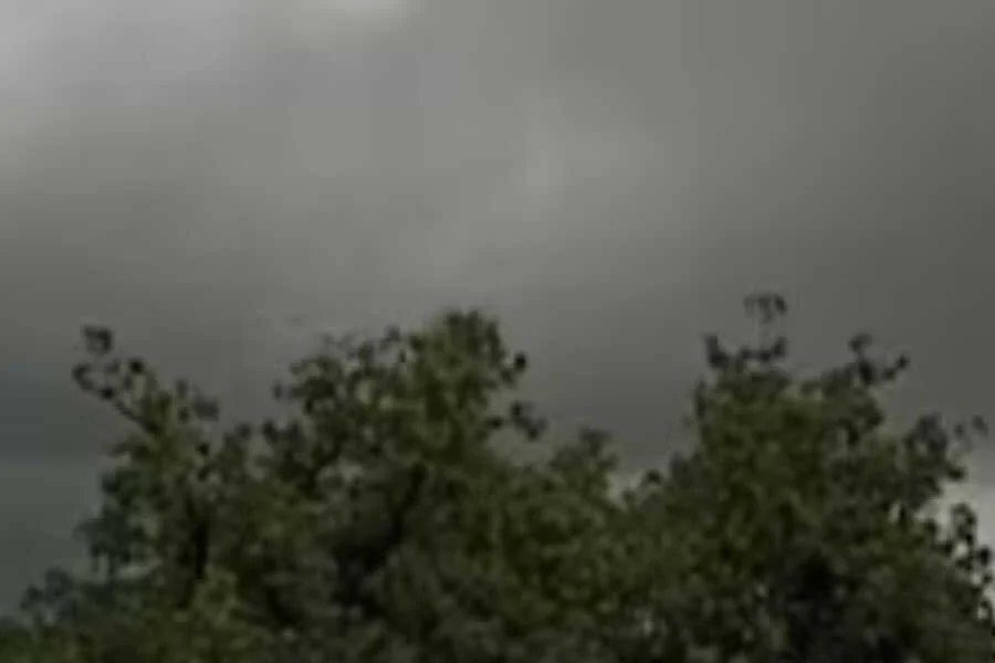 येलो अलर्ट,भारी बारिश, 25 जिले, पटना, मौसम विभाग