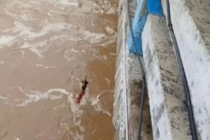 बाढ़, फल्गु, 12 फंसे, एसडीआरएफ,रेस्क्यू, मानपुर, गया