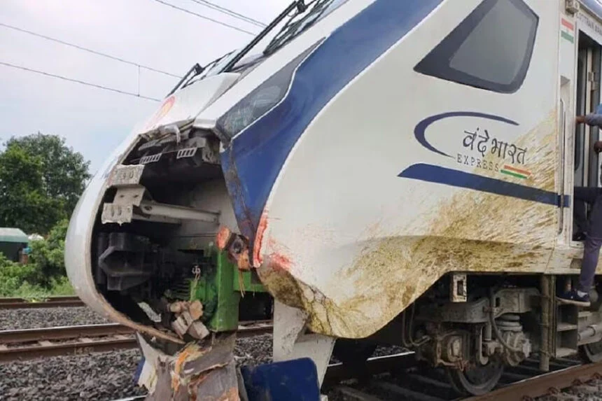 वंदे भारत एक्स, हादसा, शेखपुरा, चरवाहा, 2 भैंस, मौत