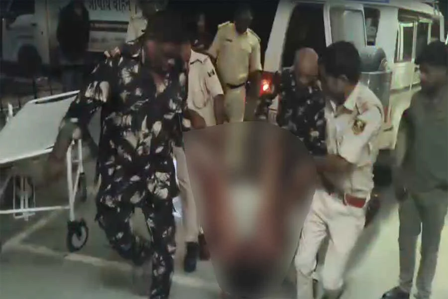 कुत्ता, चचेरा भाई, हत्या, भौंकना, फतुहा