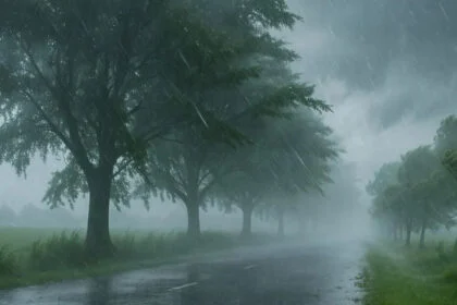 रेड अलर्ट, पटना, सारण, भारी बारिश