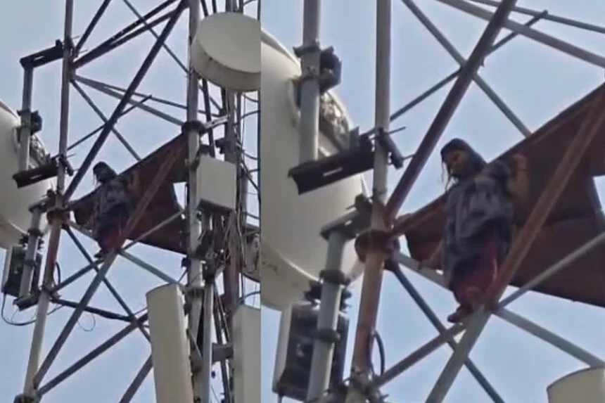 मोबाइल टावर, ससुराल, नहीं जाऊंगी, युवती, मोतिहारी