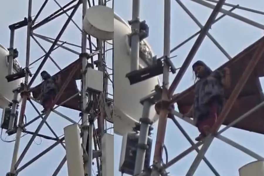 मोबाइल टावर, ससुराल, नहीं जाऊंगी, युवती, मोतिहारी