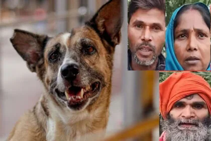 शराबी, कुत्ता, मांस, बेचा, मोतिहारी, खरगोश, ग्रामीण