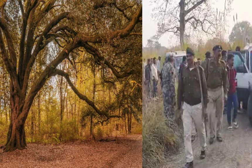 बगहा, VTR, नर कंकाल, पेड़, लटकती बॉडी, ऑनर किलिंग, 4 माह, लापता