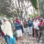 युवक-युवती, आम, बगीचा, पेड़, लटके, बेतिया