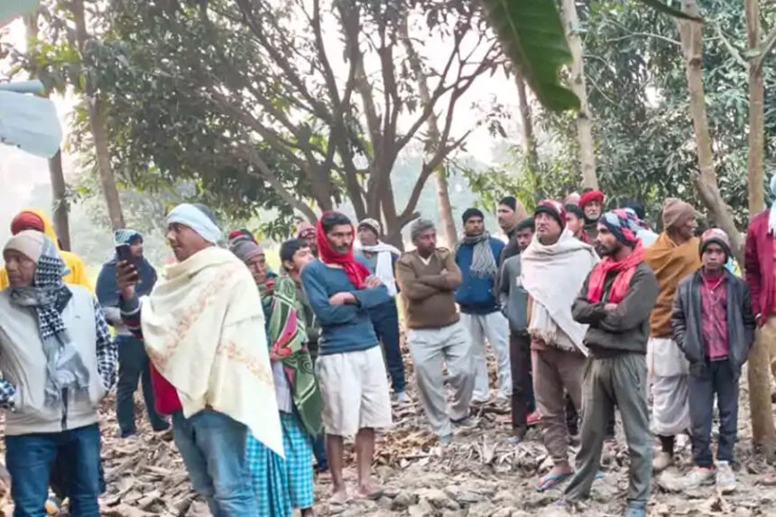 युवक-युवती, आम, बगीचा, पेड़, लटके, बेतिया