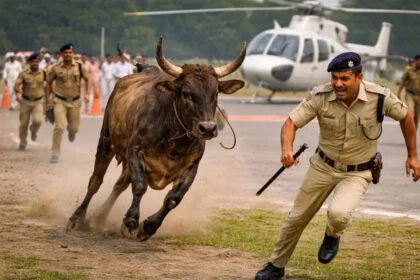 नीतीश, सांड़, हेलीपैड, बेगूसराय, CM, हेलीकॉप्टर, लैंडिंग, दौड़े, पुलिसवाले