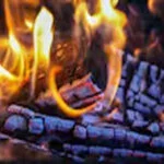 मुजफ्फरपुर, हत्यारी पत्नी, पति, जहर दिया, लगाई आग, गिरफ्तार, सकरा