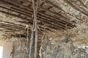 गयाजी, केनी पुल, दरार, दहशत, जर्जर खंभे, सरिया, तस्वीर, वायरल