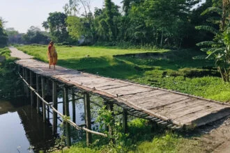 कटिहार, चचरी, विकास, प्राणपुर, कोढ़ा, बारसोई